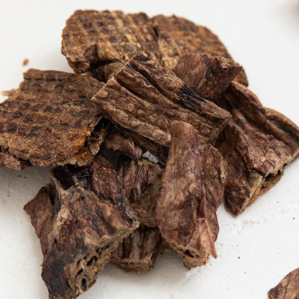 Protein – your pup's not-so-secret superpower!