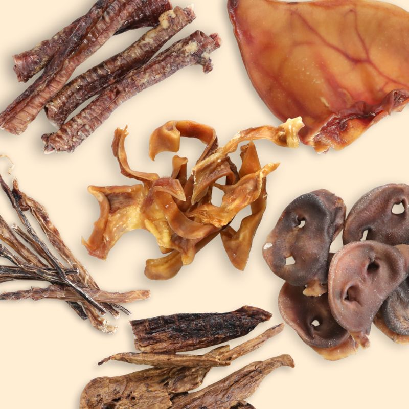 Pork: The Most Underrated Protein For Dogs