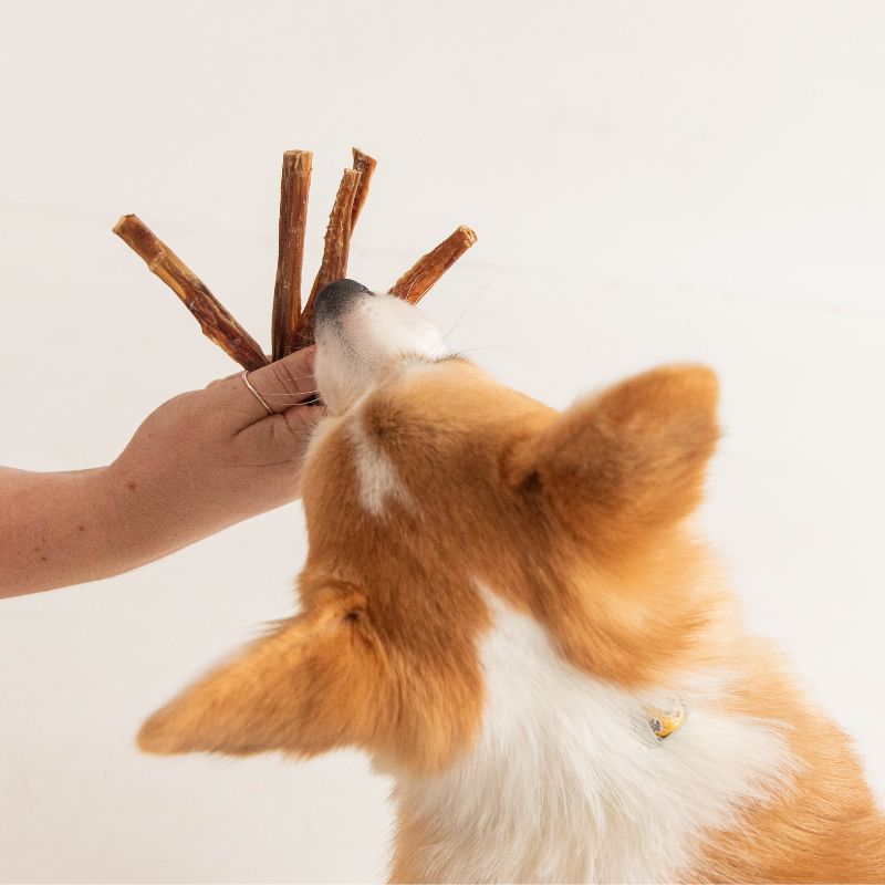 Are Your Dog Treats Imported?