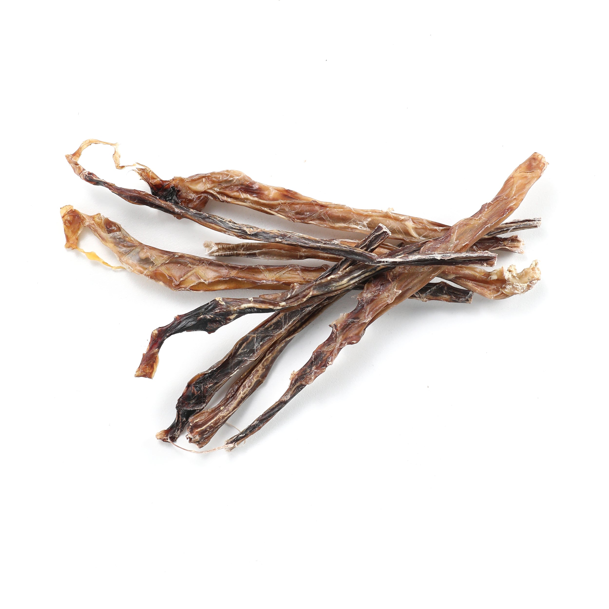 Pizzle (Bully Stick)