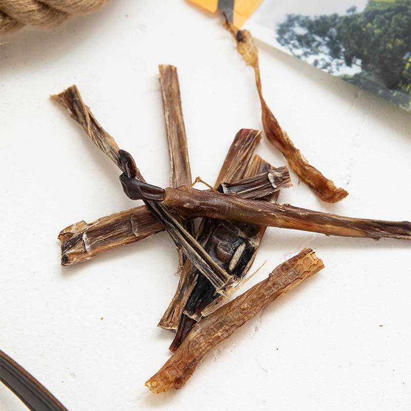 Pizzle (Bully Stick)