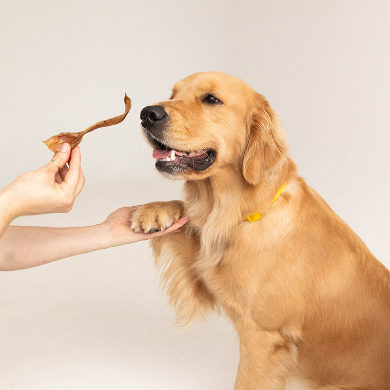 Pawk Pet Treats – Pawk Pet Co. Pty Ltd