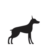 Suitable for large dogs