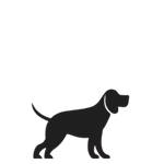 Suitable for medium dogs
